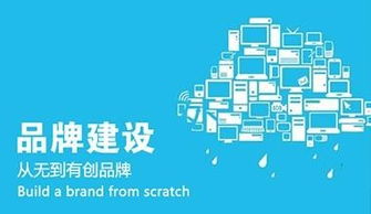 企业网络推广策略详解与北京优质信息咨询服务推荐